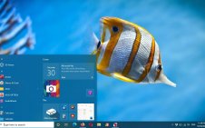 Butterflyfish win10 theme