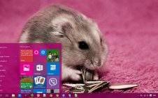 Hamster win10 theme