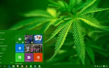 Weed win10 theme