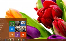 Flower win10 theme