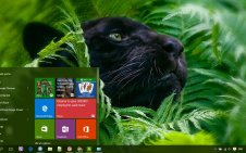 Black Panther win10 theme