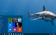 Shark win10 theme