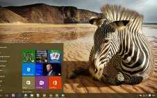 Zebra win10 theme