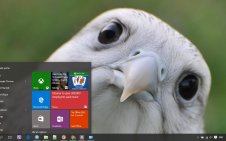 Falcon win10 theme