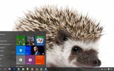 Hedgehog win10 theme