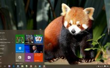 Red Panda win10 theme