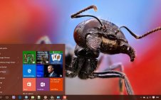 Ant win10 theme