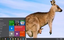 Kangaroo win10 theme