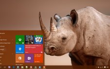 Rhino win10 theme