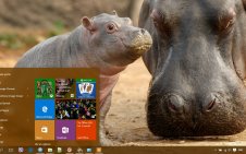 Hippo win10 theme
