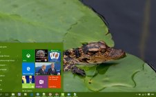 Crocodile win10 theme