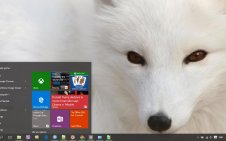 Arctic Fox win10 theme