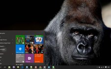 Gorilla win10 theme