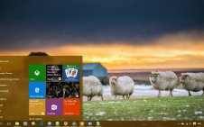 Sheep win10 theme