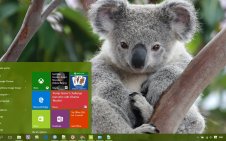 Koala win10 theme