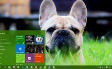 Bulldog win10 theme