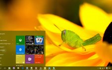 Grasshopper win10 theme