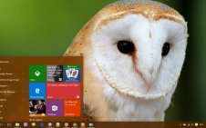 Barn Owl win10 theme