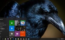 Crow win10 theme