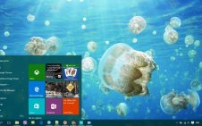 Sea Life win10 theme