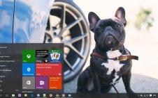 French Bulldog win10 theme