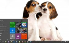 Beagle win10 theme