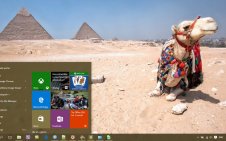 Camel win10 theme