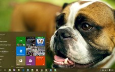 Boxer win10 theme