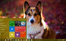 Corgi win10 theme