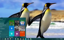 Emperor Penguin win10 theme