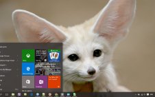 Fennec Fox win10 theme