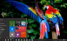 Macaw win10 theme