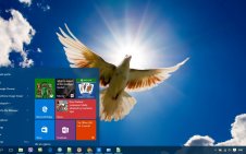 Dove win10 theme