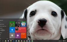 Dalmatian win10 theme