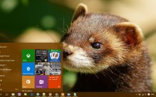 Ferret win10 theme