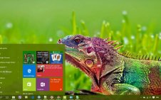 Reptile win10 theme