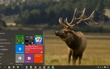 Elk win10 theme
