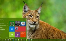 Bobcat win10 theme