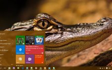 Alligator win10 theme