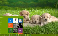 Cute win10 theme