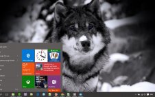 Wolf win10 theme