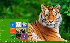 Tiger win10 theme