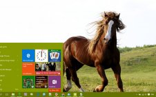 Horse win10 theme