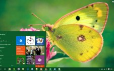 Butterfly win10 theme