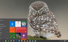 Owl win10 theme