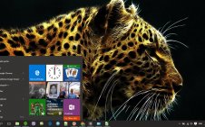 Cheetah win10 theme