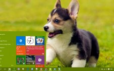 Puppy win10 theme