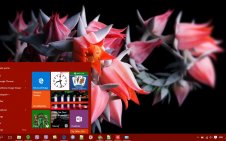 Flowers win10 theme