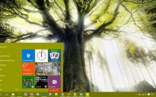 Tree win10 theme