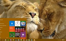 Animal win10 theme